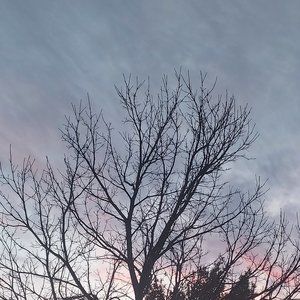 Meet your Posher, Bea